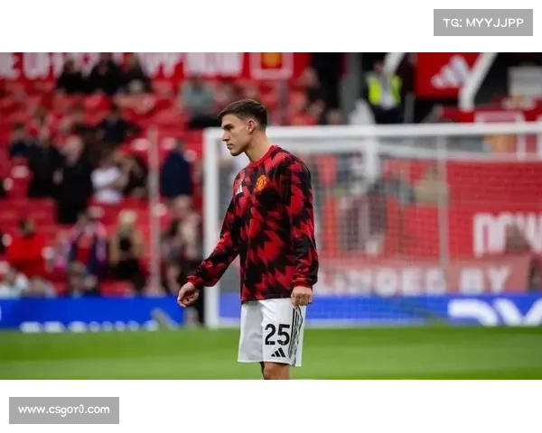 拜仁小将卡尔替补登场再轰世界波，德甲连场破门成亮点